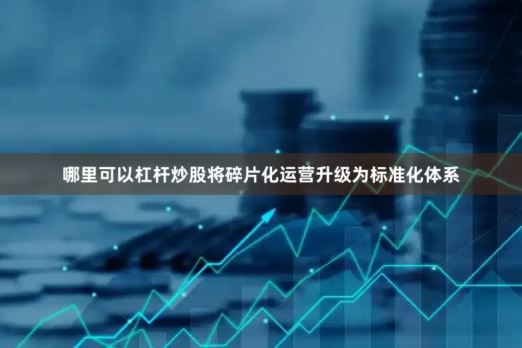哪里可以杠杆炒股将碎片化运营升级为标准化体系