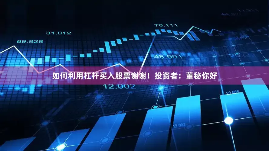 如何利用杠杆买入股票谢谢！投资者：董秘你好