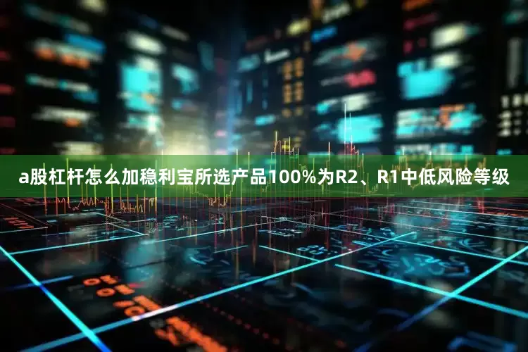 a股杠杆怎么加稳利宝所选产品100%为R2、R1中低风险等级