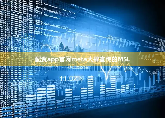 配资app官网meta大肆宣传的MSL