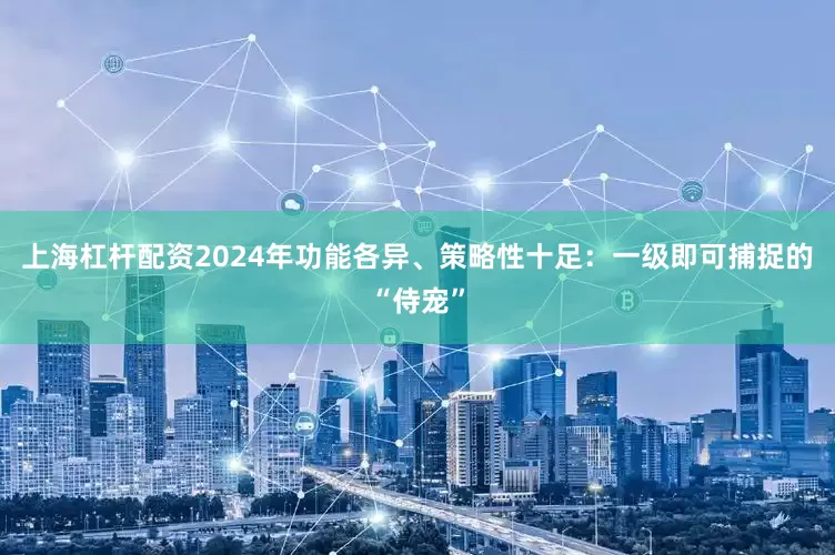 上海杠杆配资2024年功能各异、策略性十足：一级即可捕捉的“侍宠”
